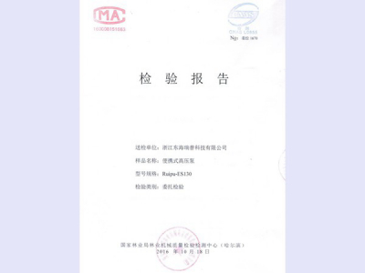 Ruipu-ES810 Portable High Pressure Pump Inspection Report